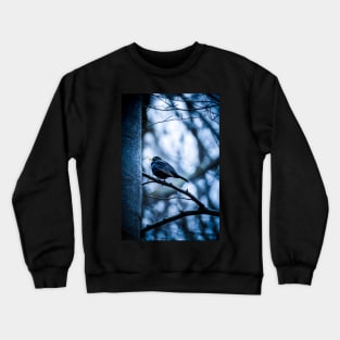 Single male blackbird (turdus merula) standing on a branch, cold atmospheric colors Crewneck Sweatshirt